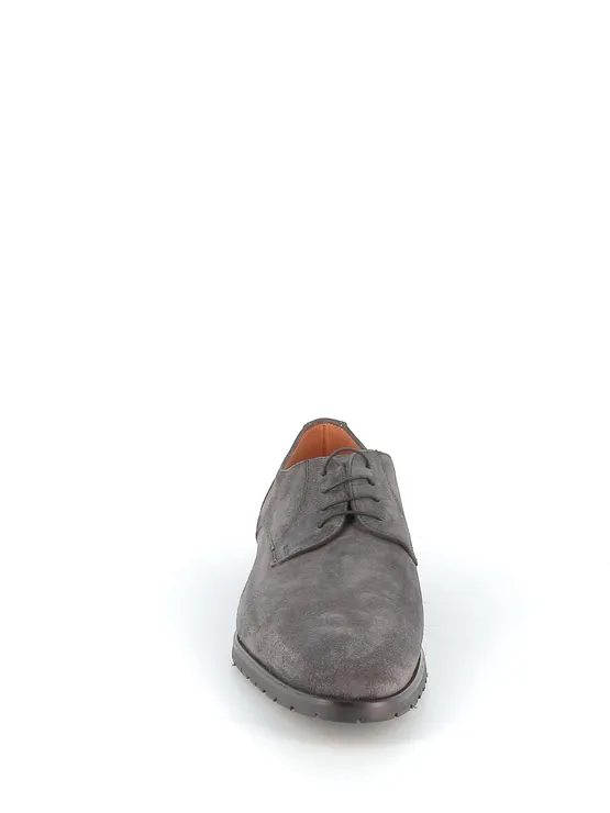 Ambiorix moliere grijs