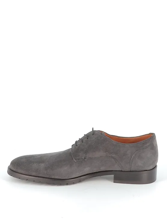 Ambiorix moliere grijs