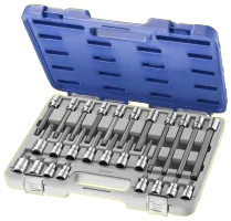 EXPERT BY FACOM SCHROEVENDRAAIERDOPPENSET 1/2″ XZN® | 26DELIG | INCL. KOFFER | E200515 – E200515