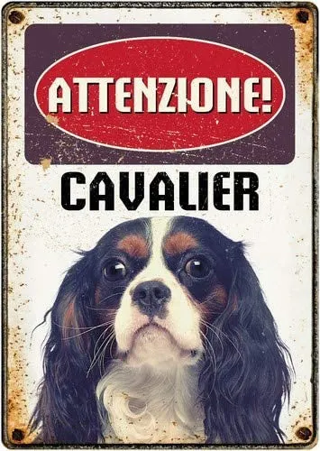 Plenty Gifts Waakbord Cavalier 21 X 14,8 Cm Staal Bruin (It)