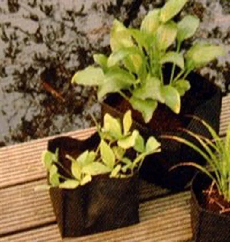 Ubbink vierkante planttas 18x18x18