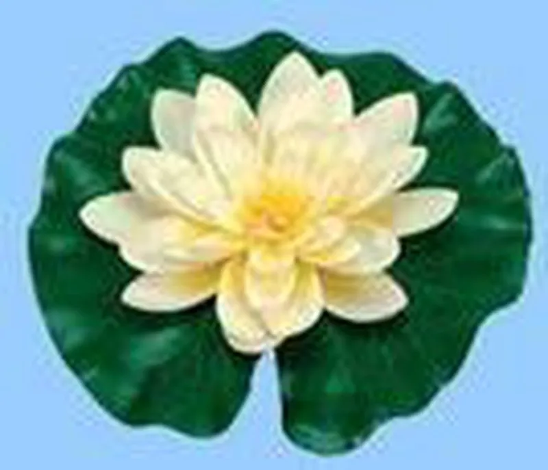 Waterlelie met druppels water 14cm witte Ubbink